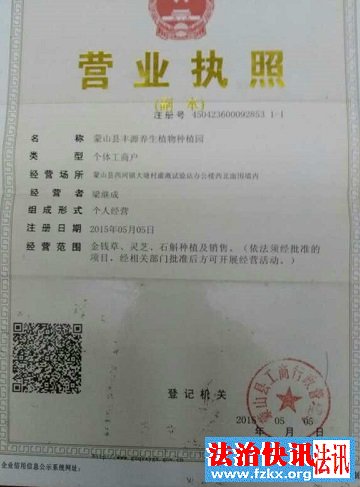 广西蒙山县:农民发展林下种植被强拆,几百万欠债谁负责 广西蒙山县:农民发展林下种植被强拆,几百万欠债谁负责