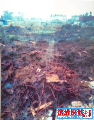 广西蒙山县:农民发展林下种植被强拆,几百万欠债谁负责 广西蒙山县:农民发展林下种植被强拆,几百万欠债谁负责