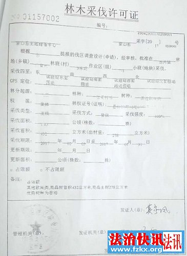广西蒙山县:农民发展林下种植被强拆,几百万欠债谁负责 广西蒙山县:农民发展林下种植被强拆,几百万欠债谁负责